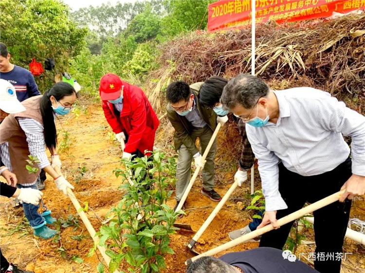 微信圖片_20200316102610_副本.jpg 微信圖片_20200316102610_副本.jpg